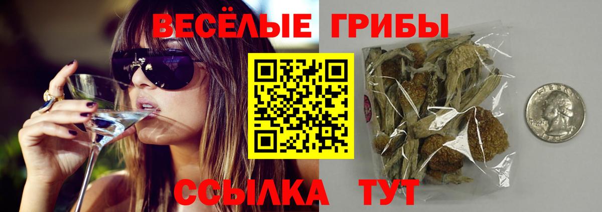 Галлюциногенные грибы мухоморы Бузулук